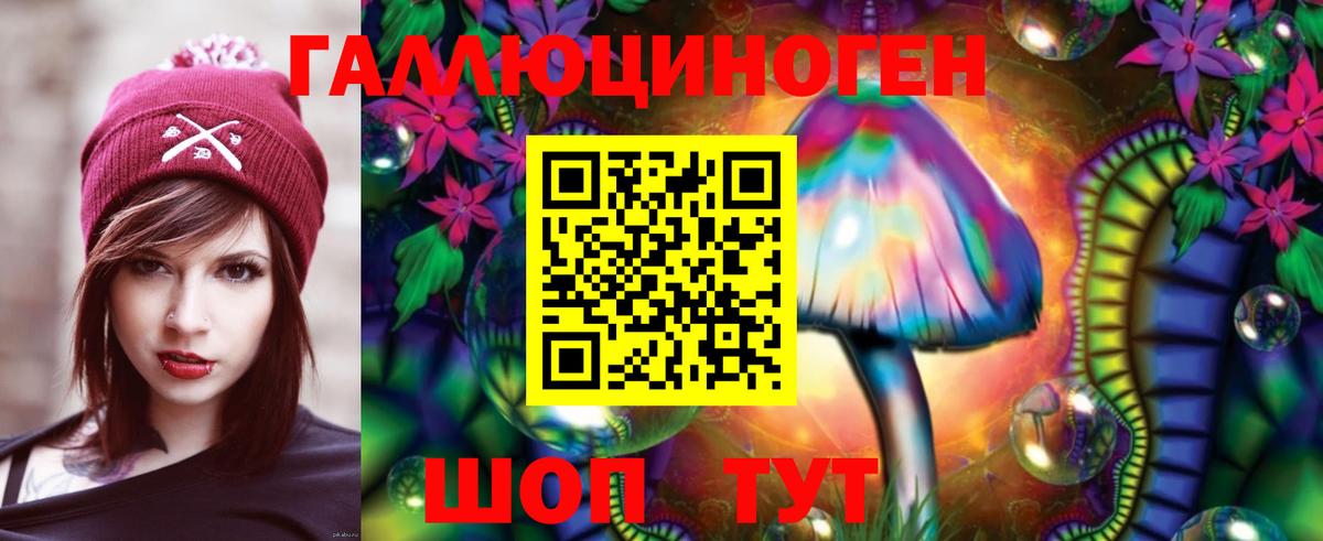 Галлюциногенные грибы Psilocybe  Галлюциногенные грибы Psilocybine cubensis  Вход с VPN  Хасавюрт 